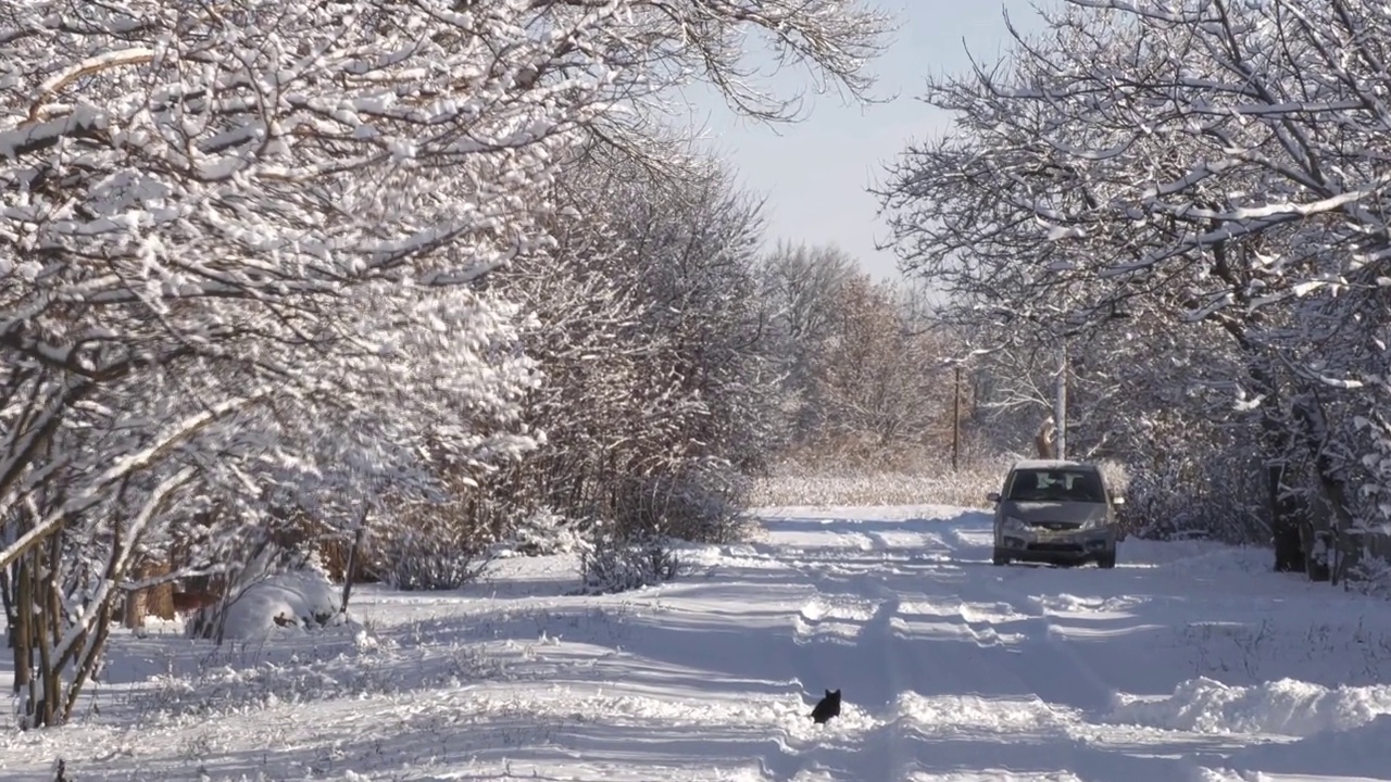 冬天的雪景。视频素材