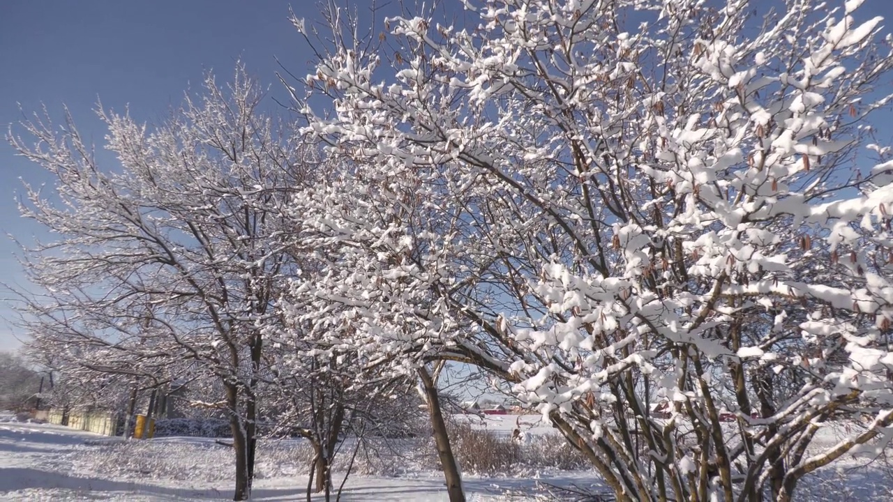 冬天的雪景。视频素材