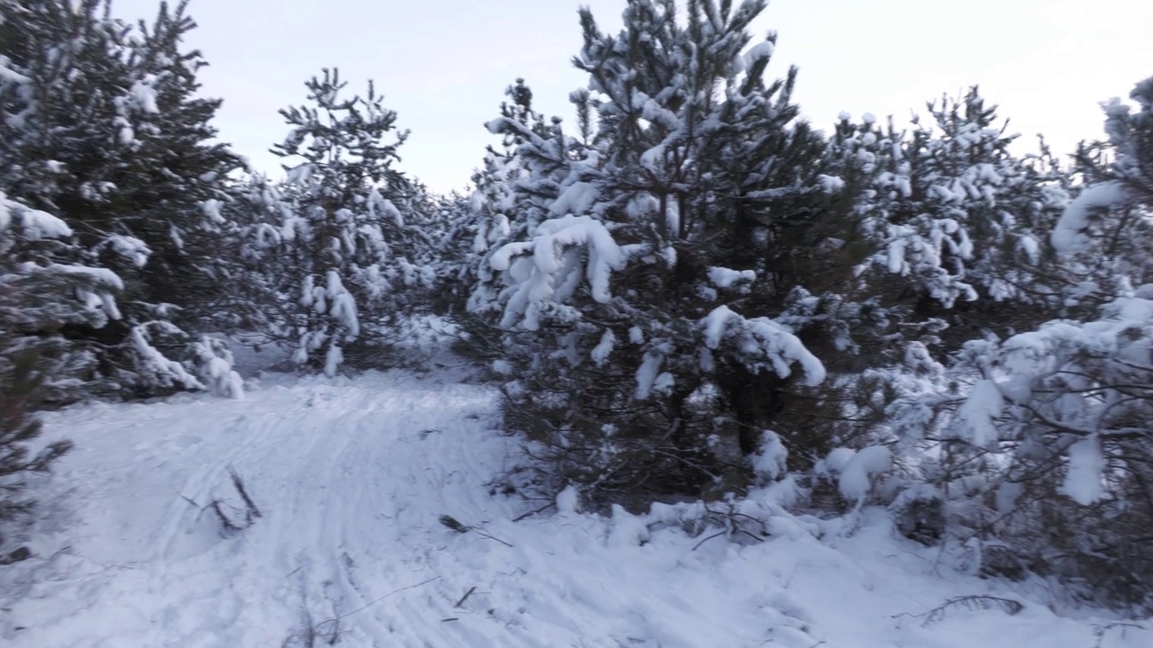 冬天的雪景视频素材