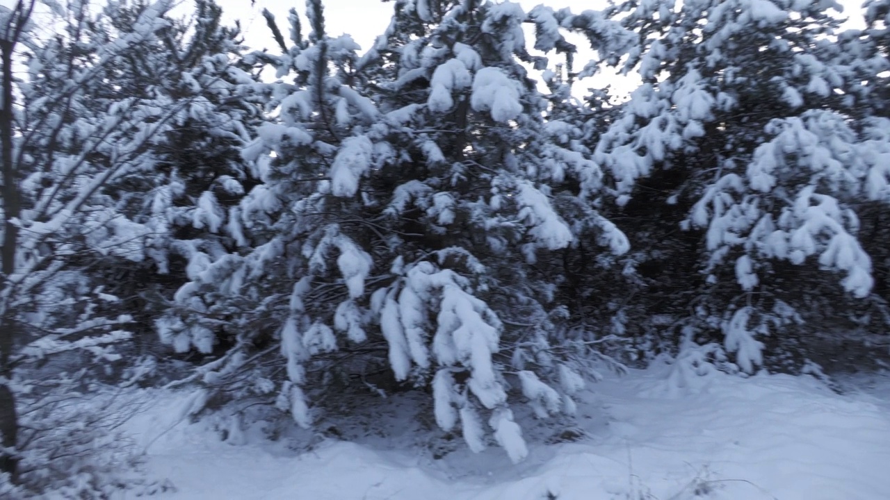 冬天的雪景视频素材