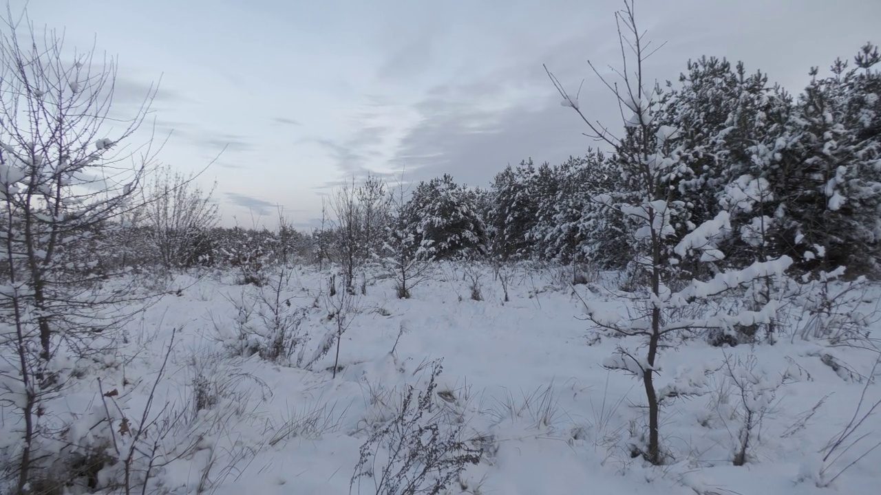 冬天的雪景视频素材