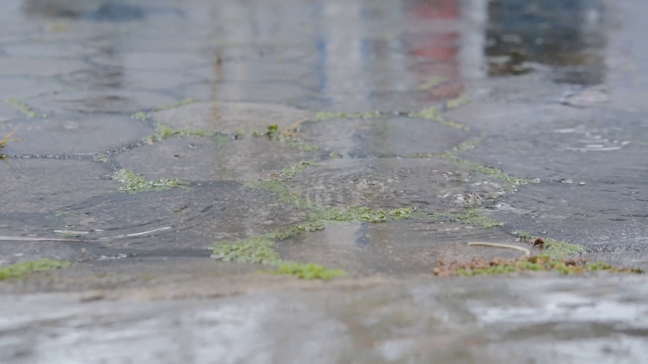 雨水池视频素材