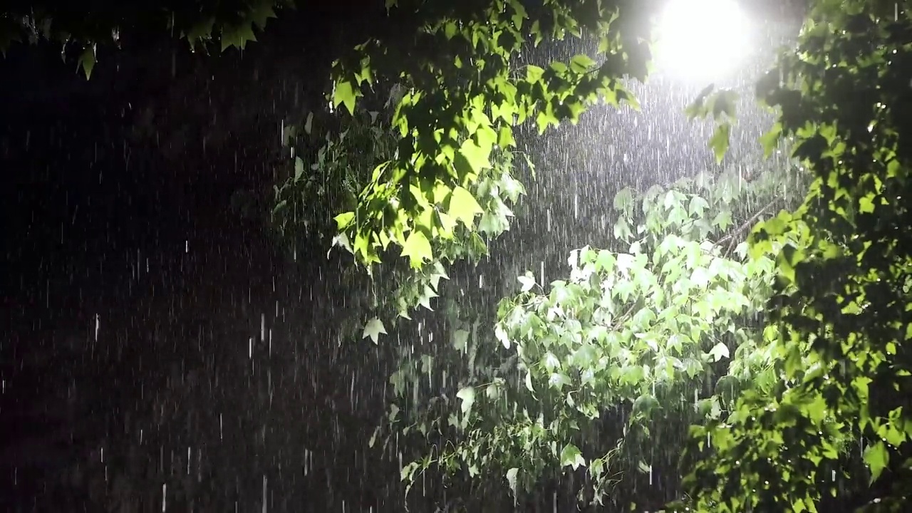 雷电和大雨穿过树木和街灯视频素材