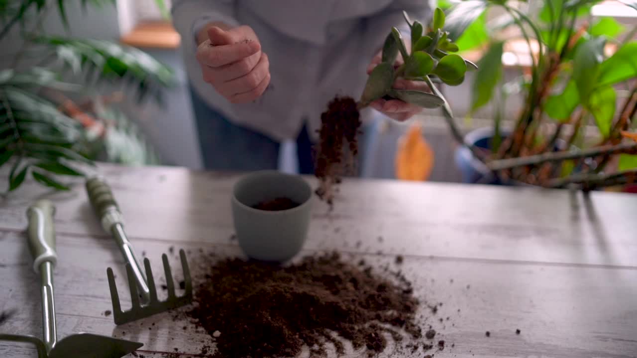 一个快乐的女人享受在家的时光，她用一个喷壶给她的一株植物浇水。视频素材