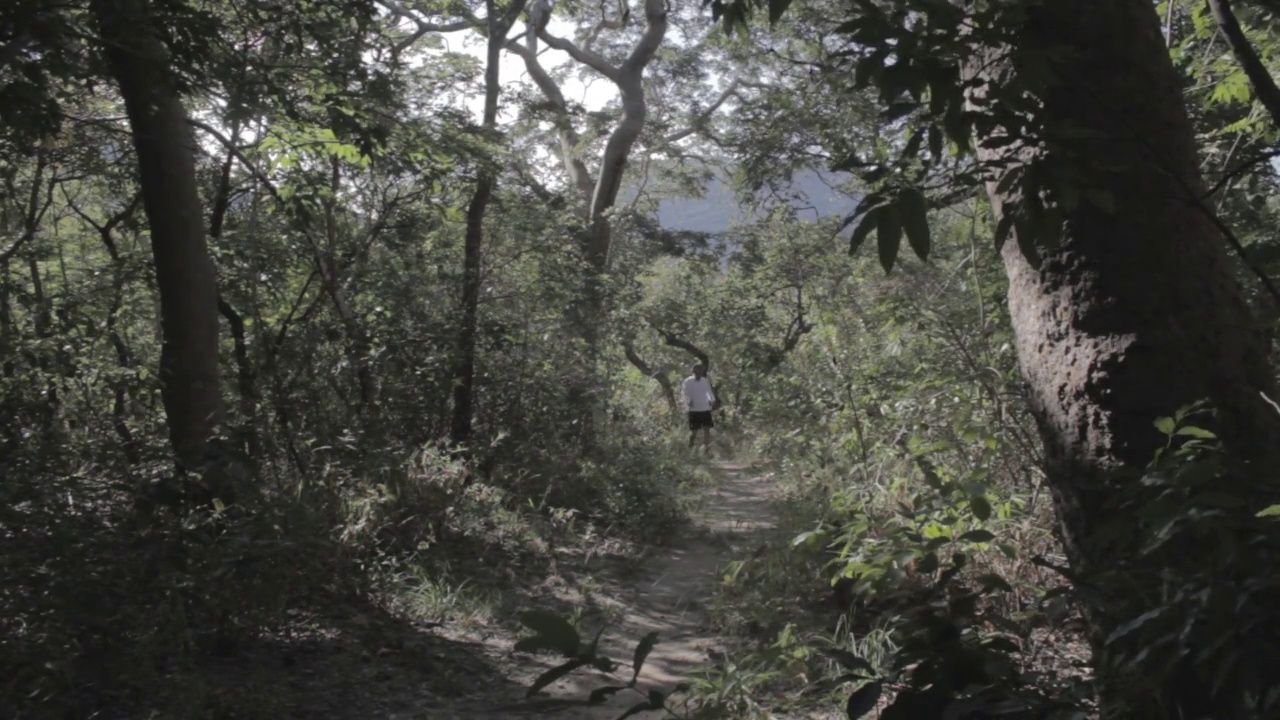 巴西米纳斯吉拉斯州中部，一名男子手持登山杆，穿过树林的阴影走向镜头视频素材