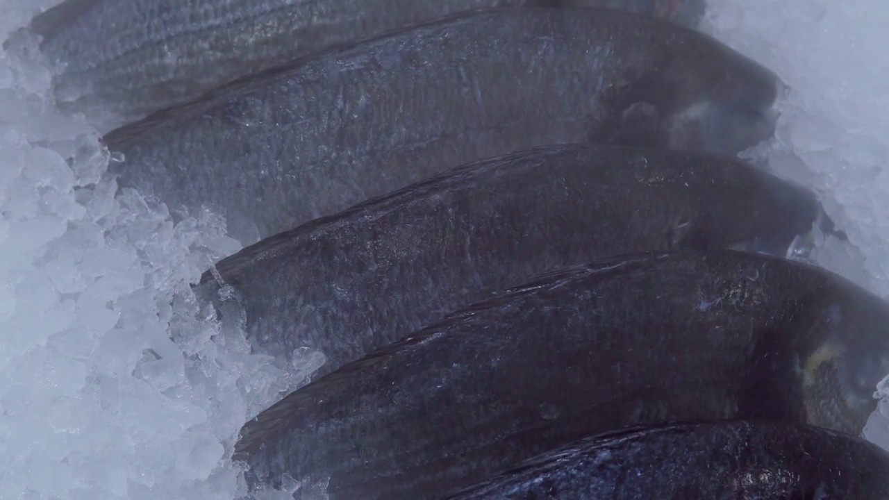在一家鱼类超市的货架上，新鲜冰冻的剑鱼被特写放在冰里视频素材