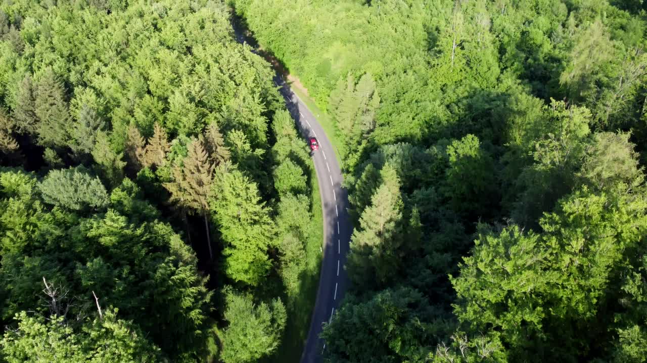 无人机飞越落叶林道路与红色汽车，鸟瞰图视频素材