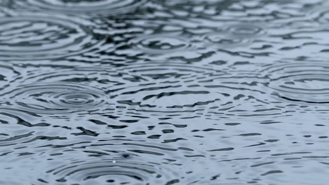 池塘雨水视频下载