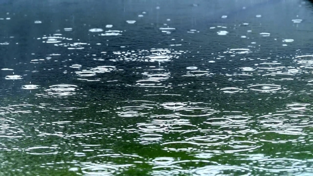 池塘雨水视频下载