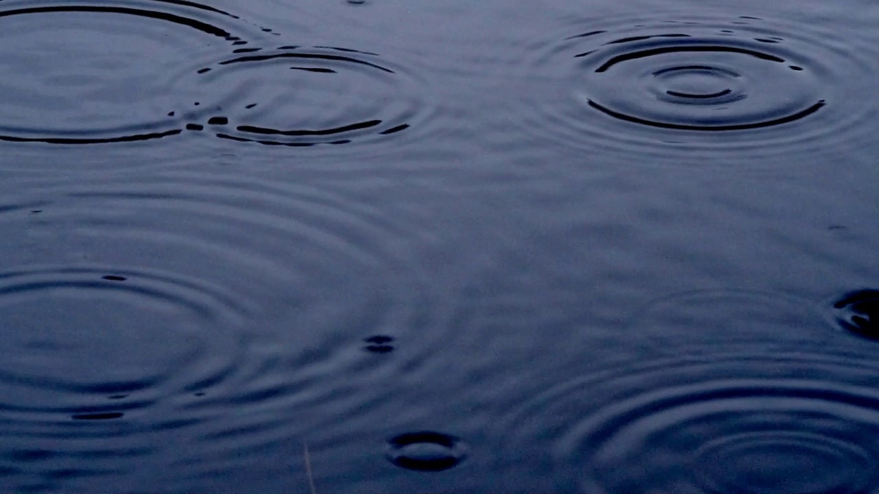 池塘雨水视频下载