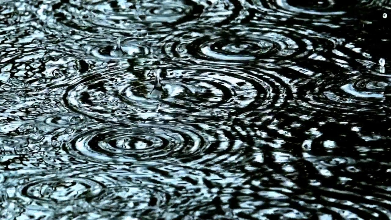 池塘雨水视频素材