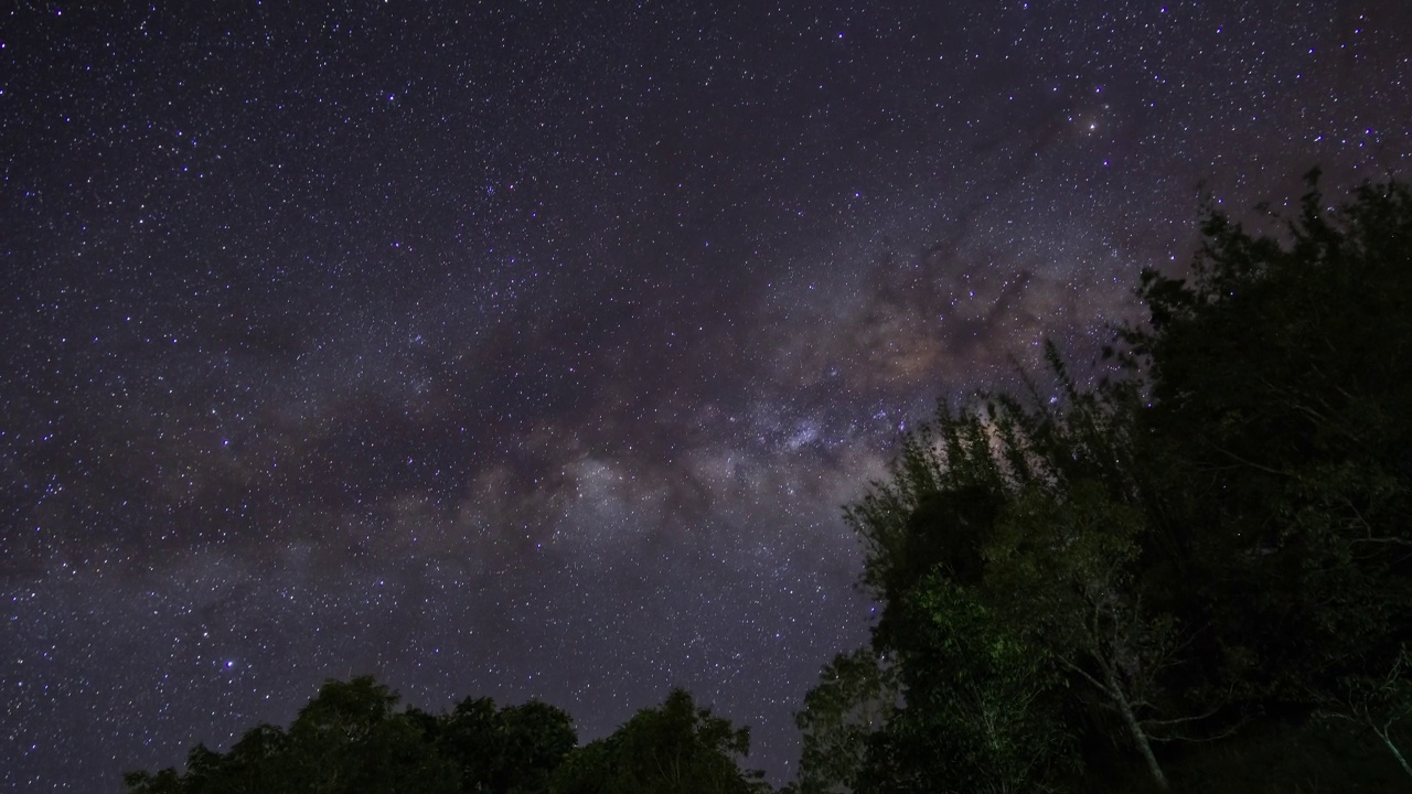 夜空的时间流逝与银河在树木之上视频素材