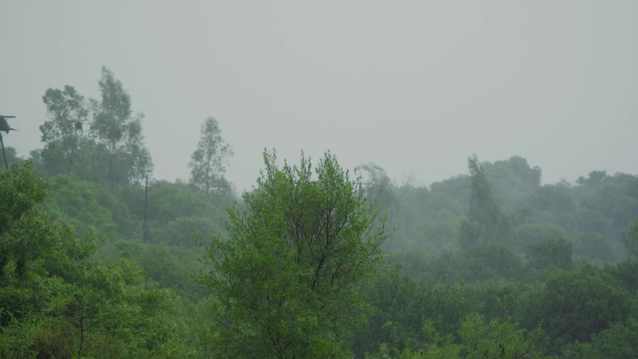 山林上的风雨视频素材