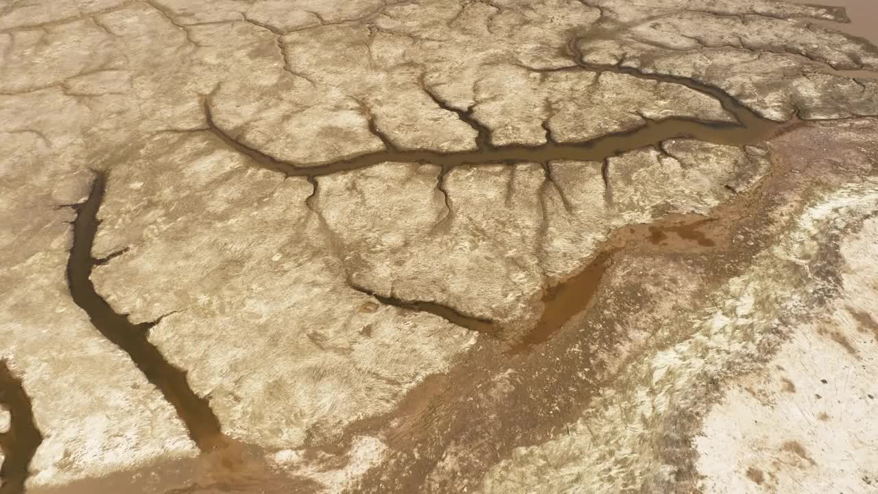 潮汐湿地鸟瞰图视频素材