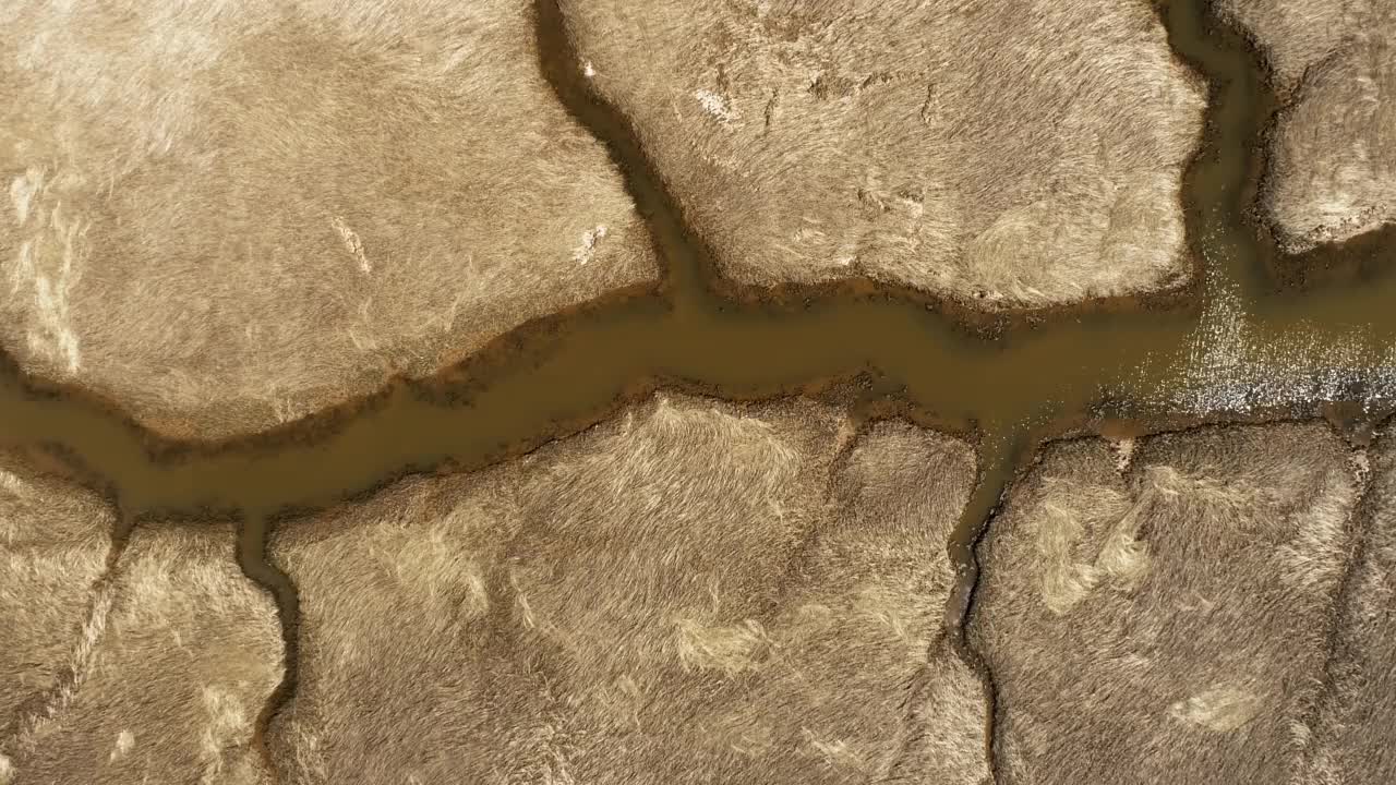 潮汐湿地鸟瞰图视频素材