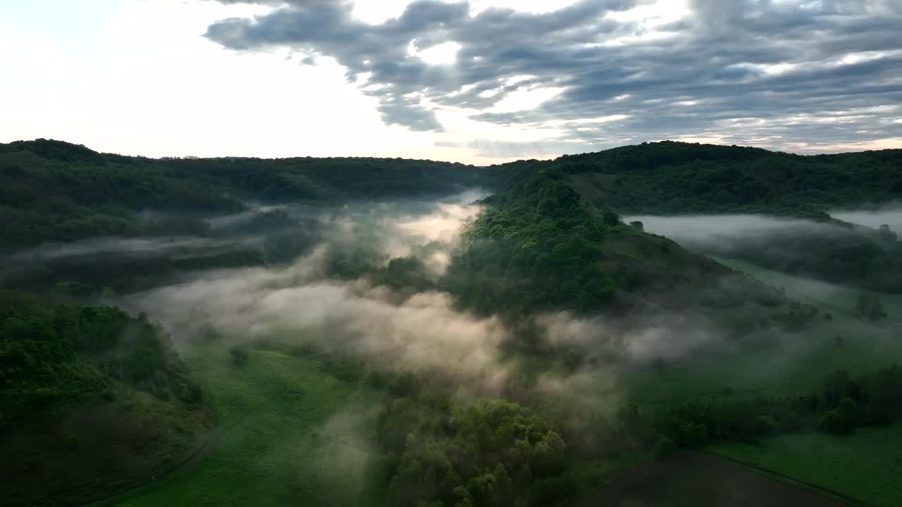 森林上的景观雾蒙蒙的早晨，空中拍摄云雾弥漫的山谷天空视频素材