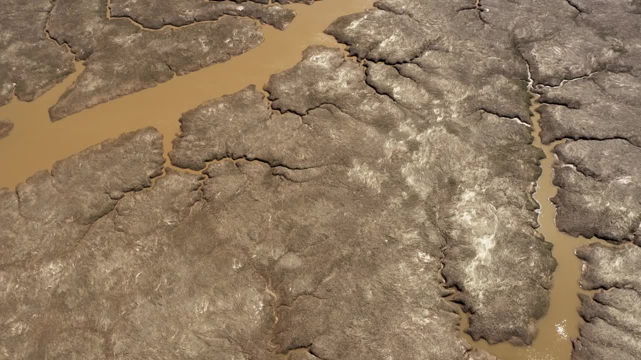 潮汐湿地鸟瞰图视频素材