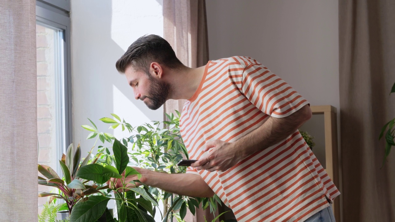 家里有智能手机和鲜花的男人视频素材