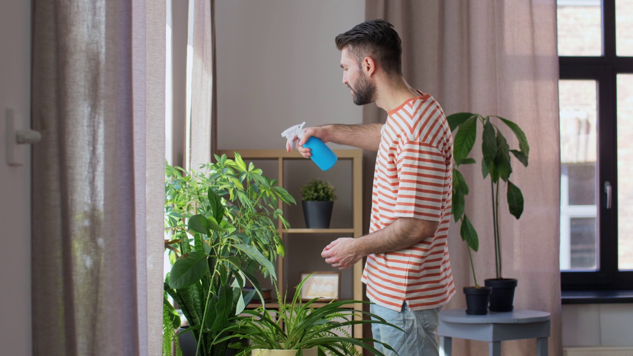 快乐的男人在家给室内植物浇水视频素材