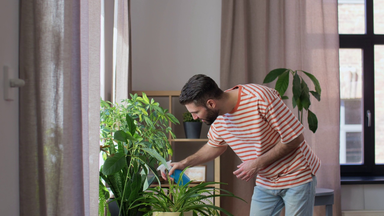 快乐的男人在家给室内植物浇水视频素材