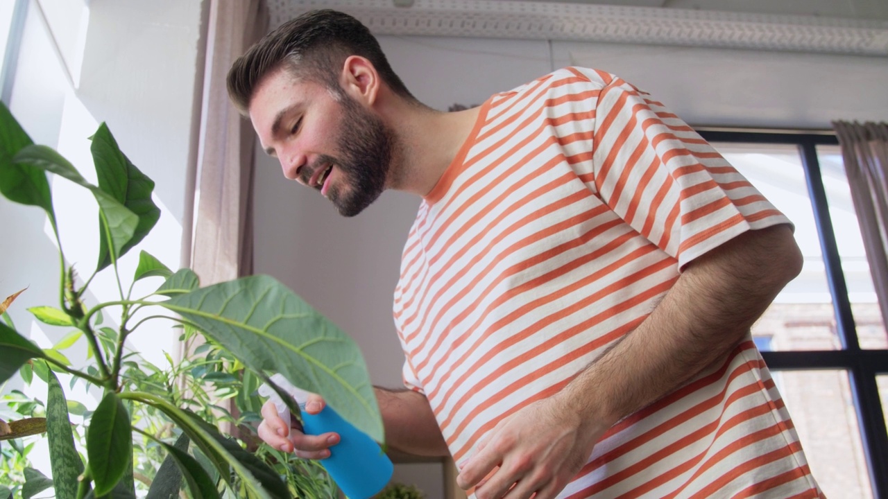 快乐的男人在家给室内植物浇水视频素材