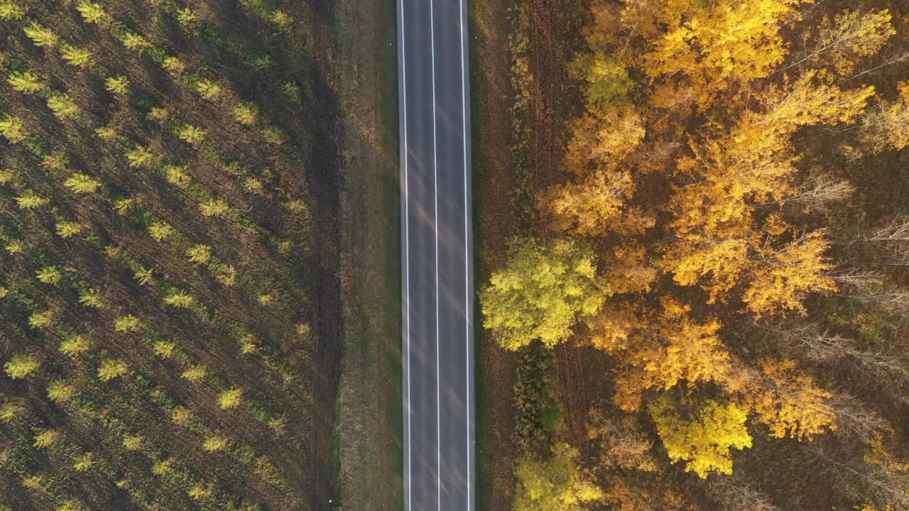 空中拍摄的两辆车在秋天下午穿过落叶林的路上擦肩而过视频素材