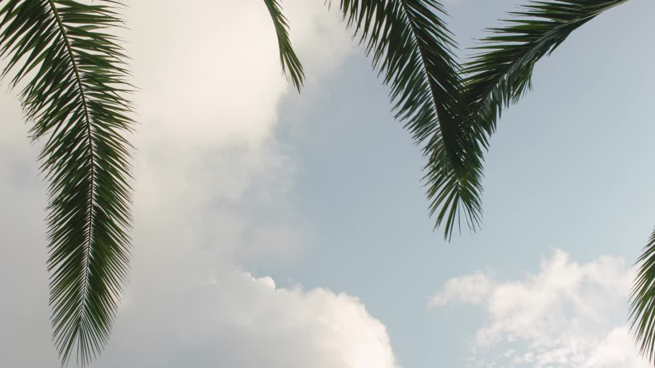 抬头看棕榈树树叶移动在缓慢的风与天空和云的背景，时间推移视频视频素材