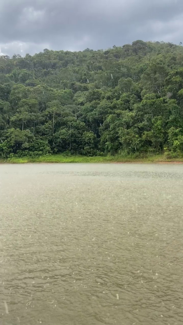 宁静的雨天。湖和树的景色。视频下载