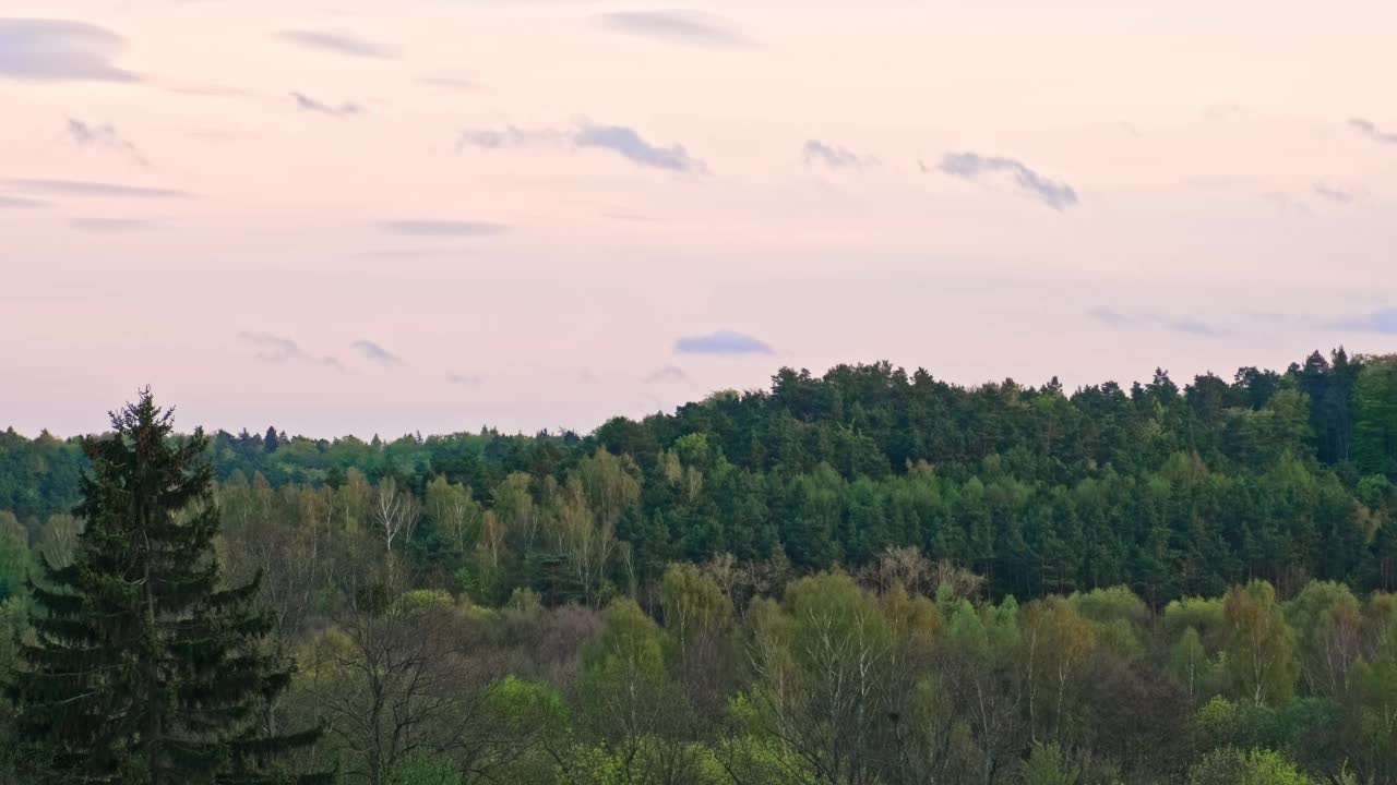 森林丘陵的傍晚时光流逝景观视频素材