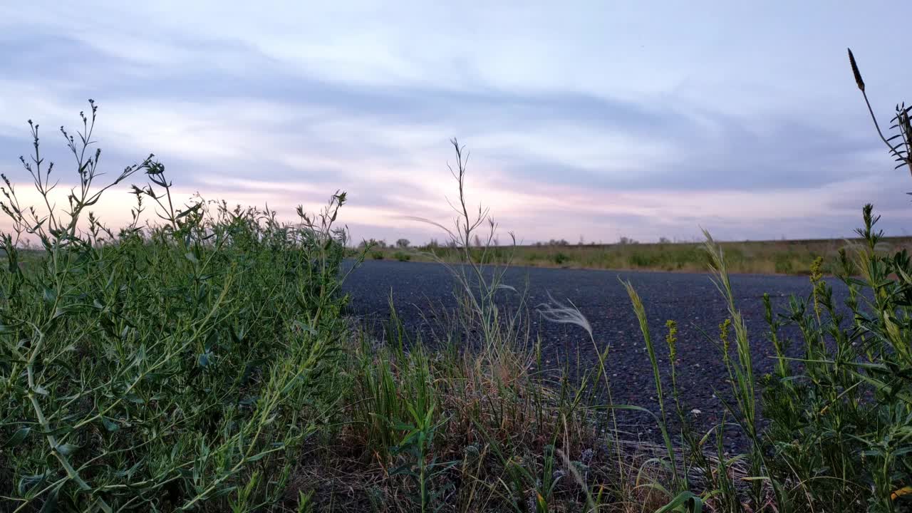 黄昏的道路对天空的特写，随风摇曳的草，文字的空间。视频下载