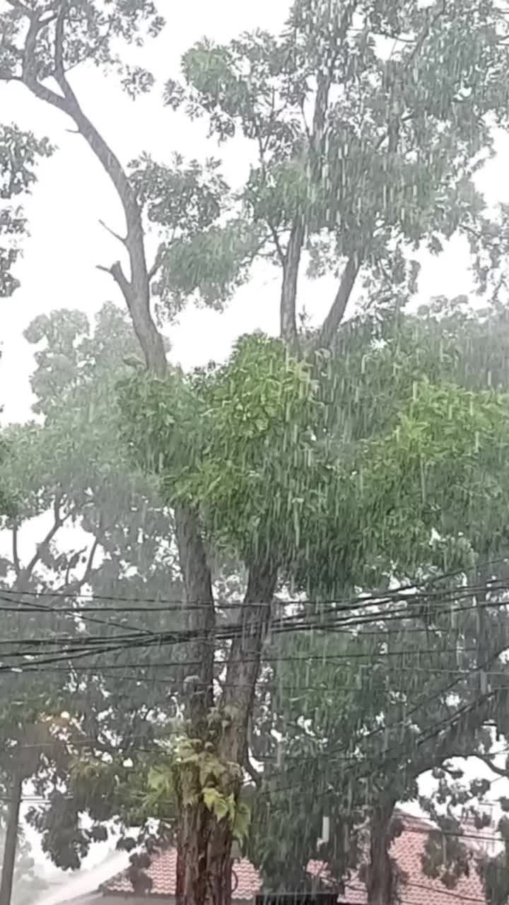 大雨视频素材