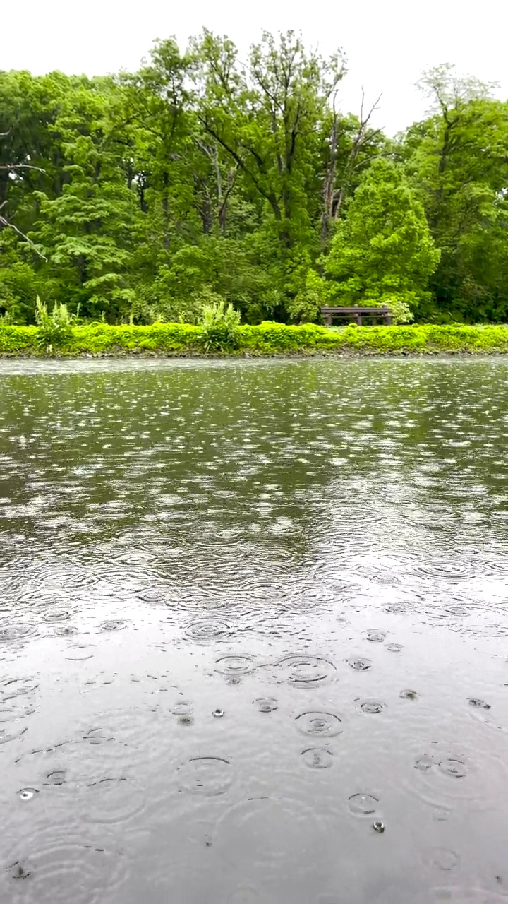 湖上的雨与绿色背景视频素材