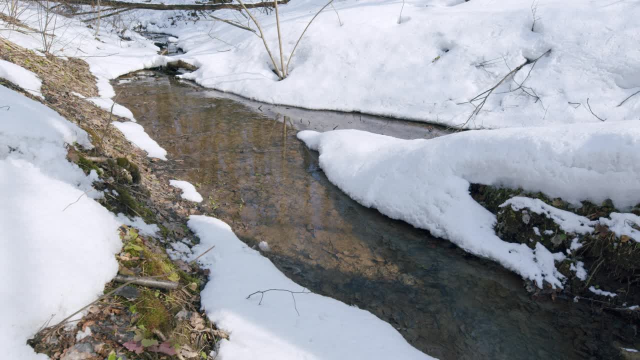 春天森林河。森林里的小溪从雪地里流过。视频素材