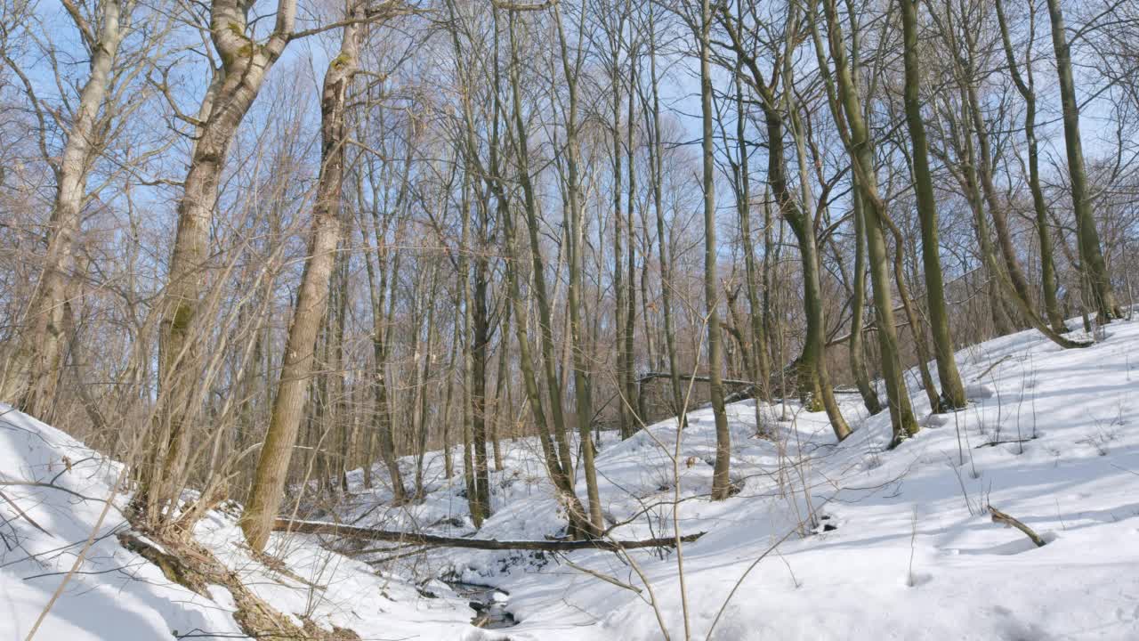 小溪融冰，春暖花开。早春，融化的雪堆在小溪边。视频素材