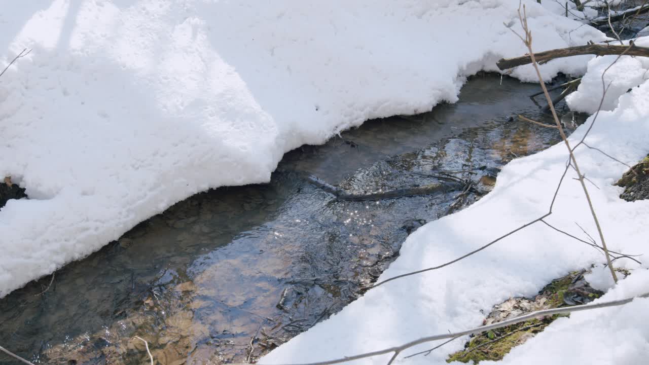 春天阳光明媚的一天，森林里的雪融化了。小溪在春天流动。视频素材