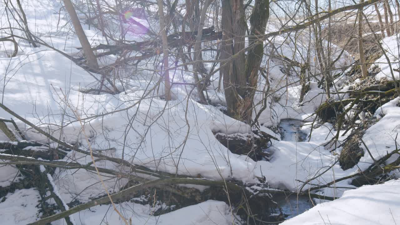 春天在森林里。雪在融化，水在流动。早春小林河。视频素材