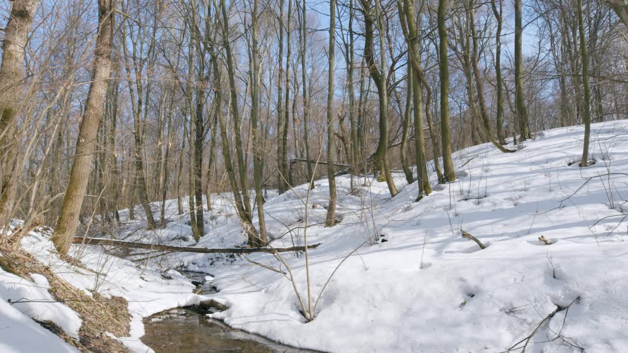 春天森林里解冻的小溪。春天的小溪带着雪在森林里。视频素材