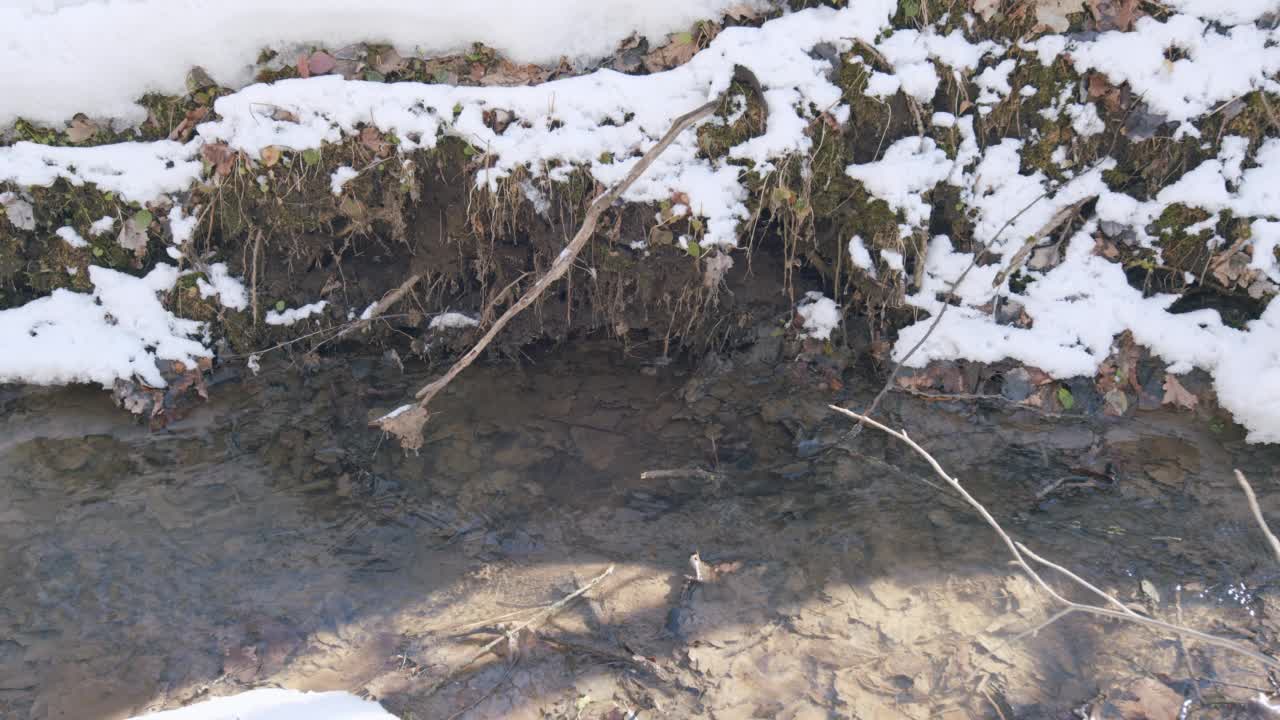 水在春天的森林里流过大地的小溪。视频素材