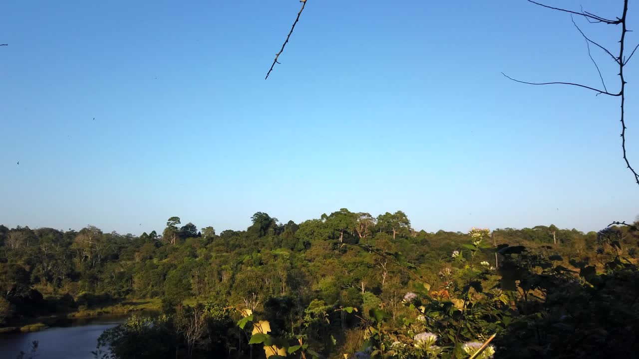 美丽的山景在早晨视频素材