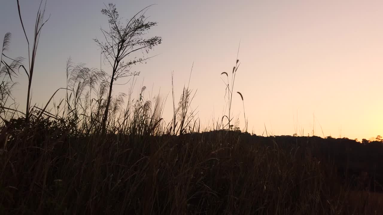 美丽的山景在早晨视频素材