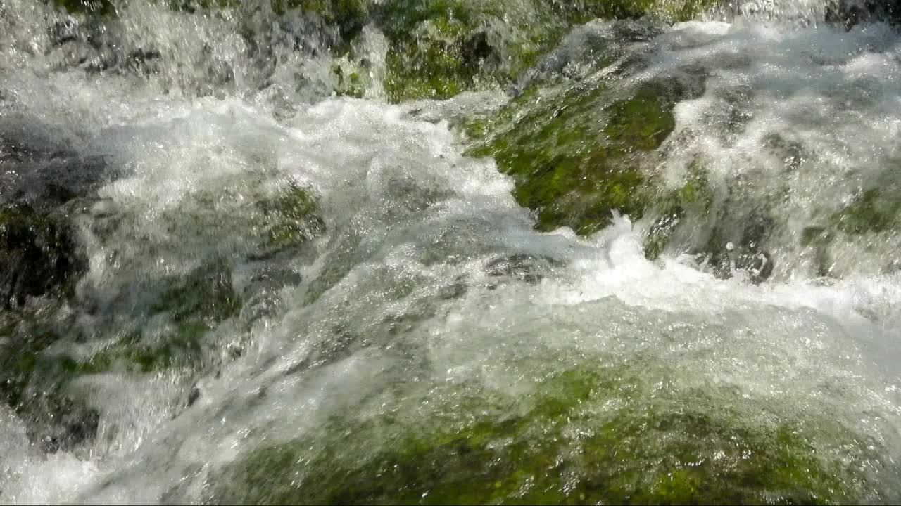 青苔石上的流水视频素材