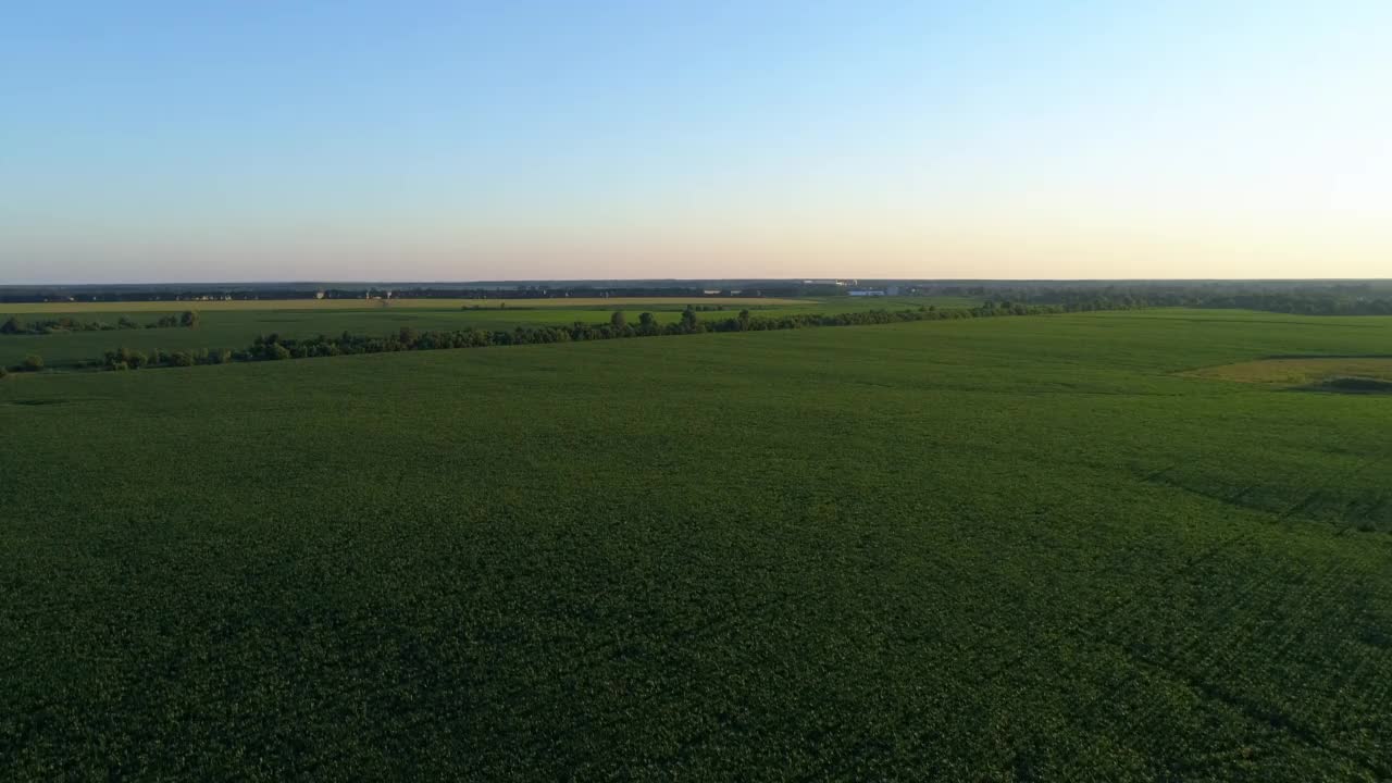 鸟瞰日落或日出的绿色玉米地，无人机广角拍摄玉米地视频素材