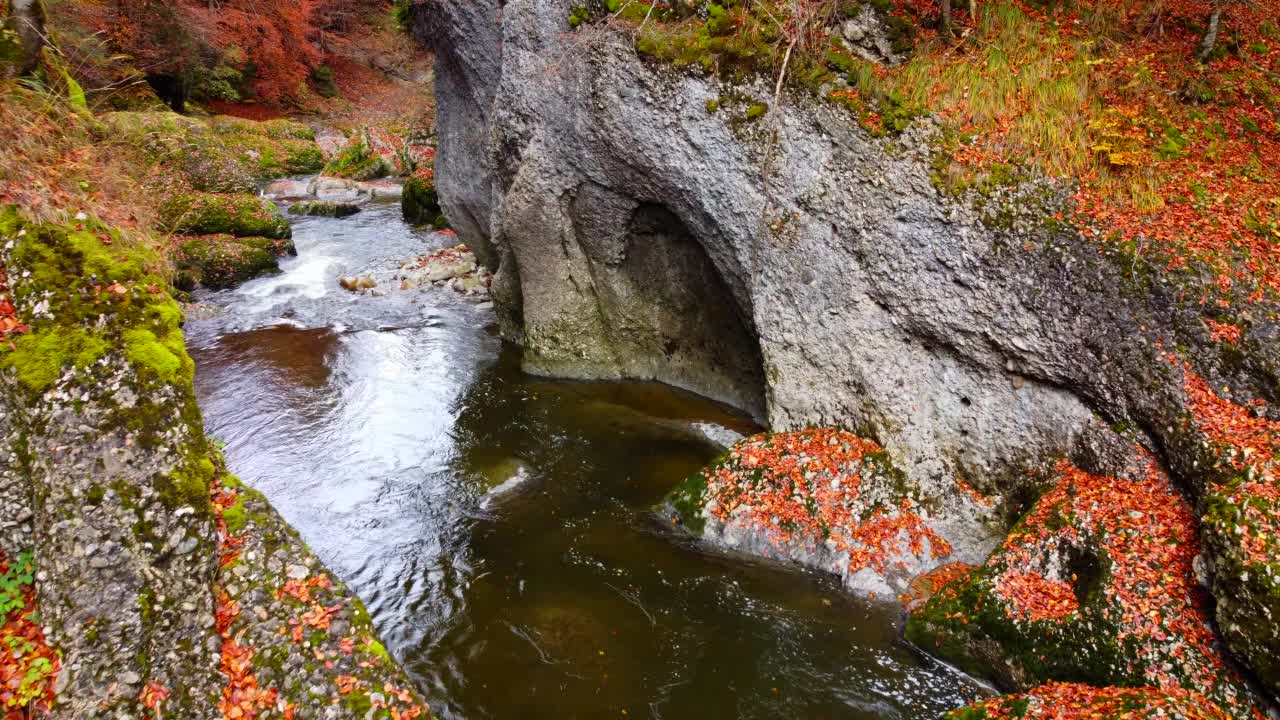 秋季的河水与景观环境视频素材