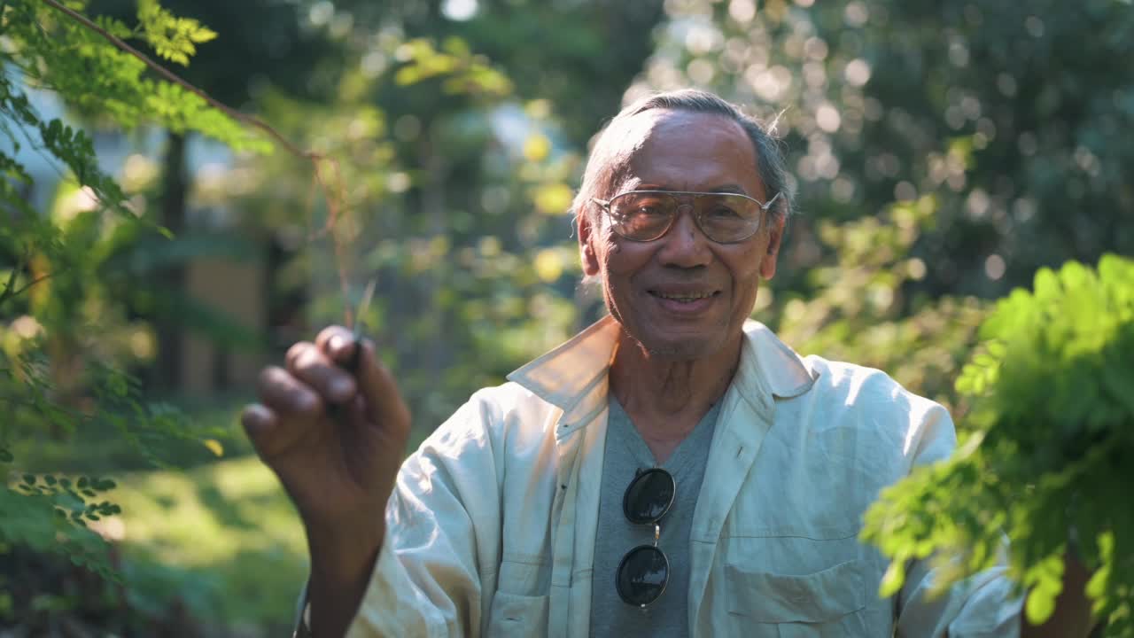 男子在家里的菜园园艺视频素材