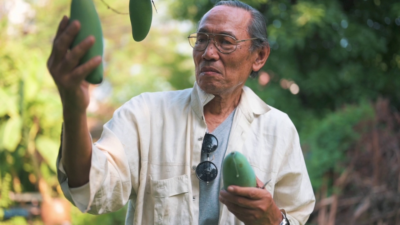 男子在家里的菜园园艺视频素材