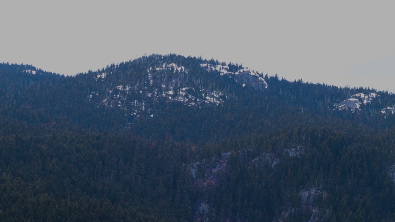 山景的静态覆盖云杉树，岩石和一点雪视频素材