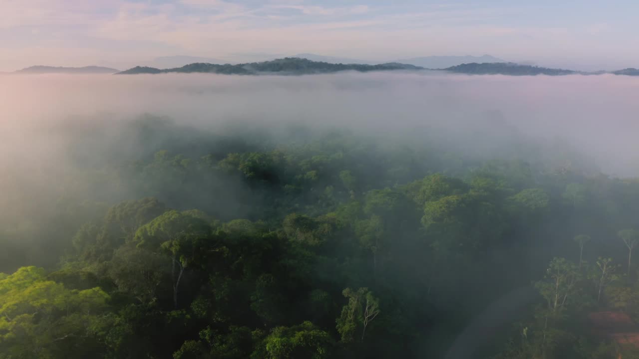 在哥斯达黎加的雾状热带雨林的无人机视图，在云和树上面的雾状景观与山脉，辽阔遥远的令人惊叹的热带丛林风景，关于气候变化的高空拍摄视频素材