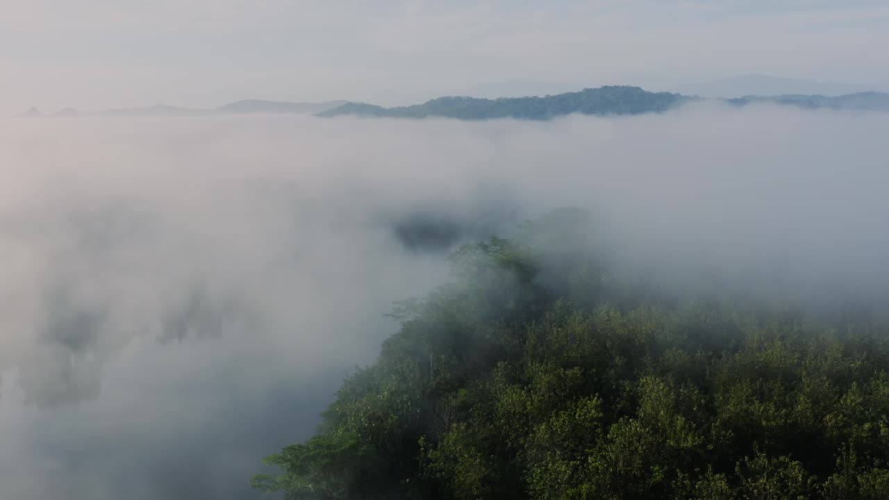 无人机查看哥斯达黎加的河流和山脉的热带雨林景观，令人惊叹的自然和雾状热带丛林的景色在云和雾中的树，博卡塔巴达视频素材