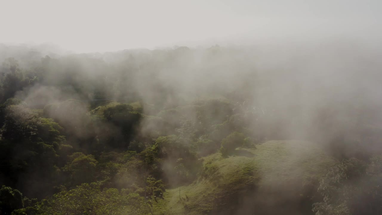 无人机拍摄飞越云雾热带雨林，热带丛林景观高空视图显示森林砍伐地区，关于全球变暖，气候变化和保护视频素材