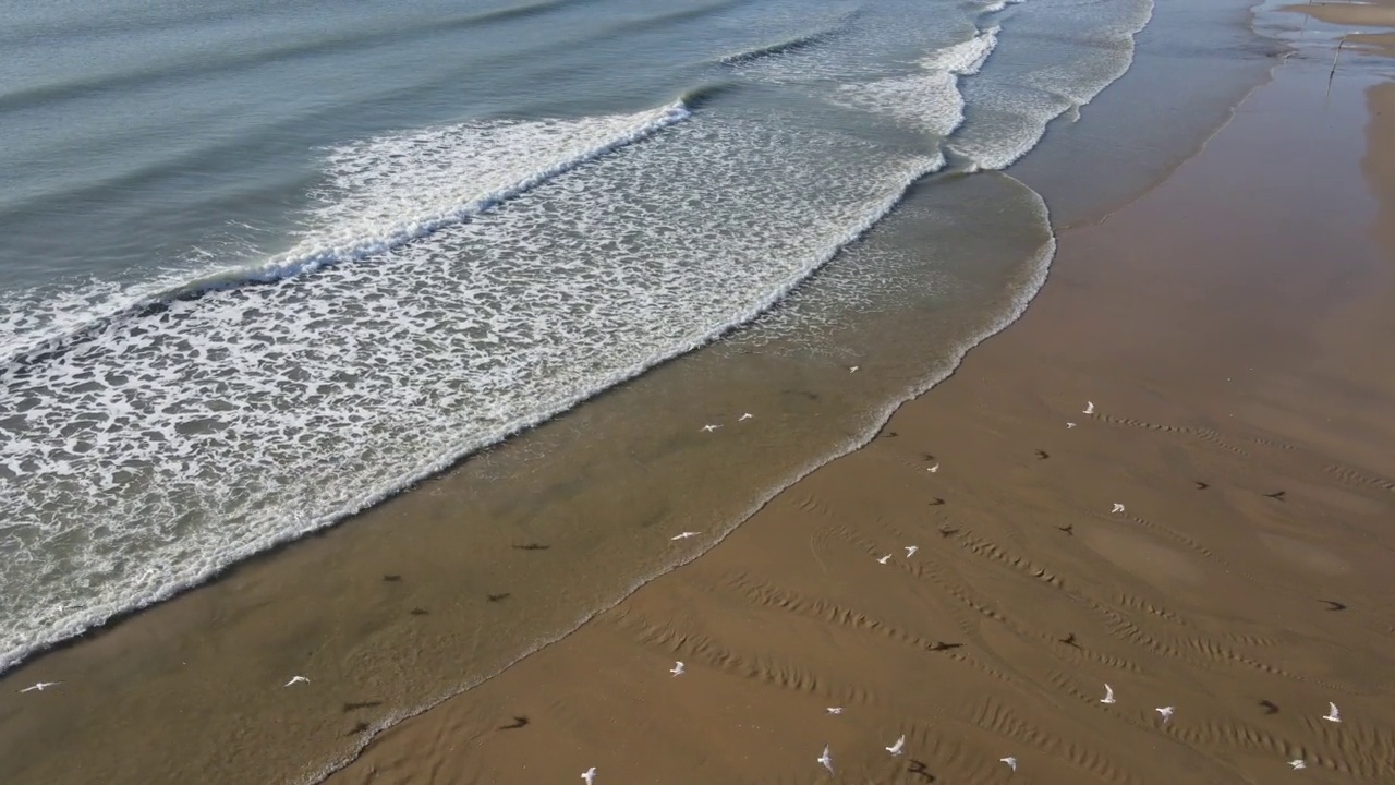 海浪和海滩的鸟瞰图视频素材